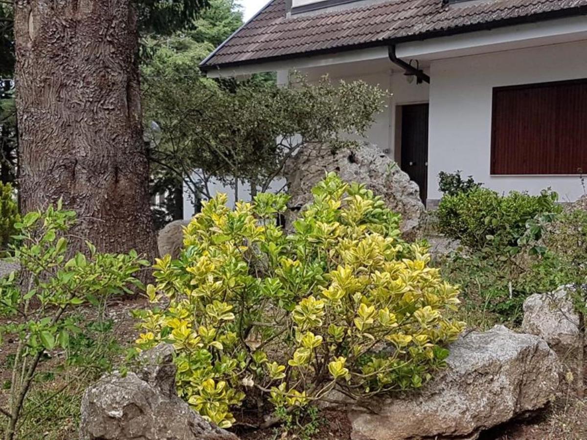 Apartamento Le Conifere Pignola Exterior foto