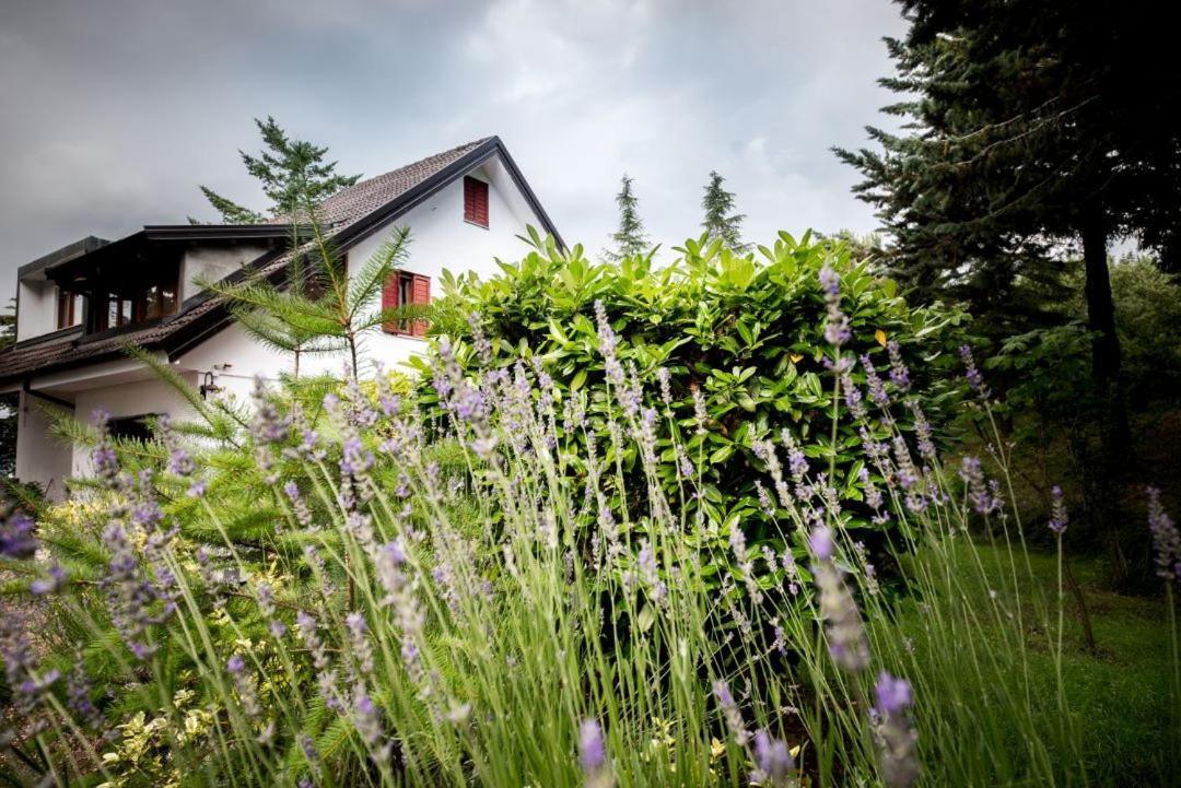 Apartamento Le Conifere Pignola Exterior foto